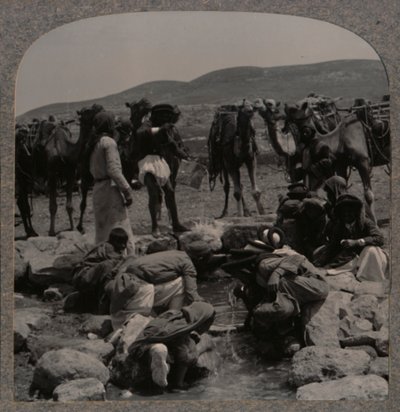 سقي الإبل في جاكوبس ويل ، c1900 بواسطة غير معروف
