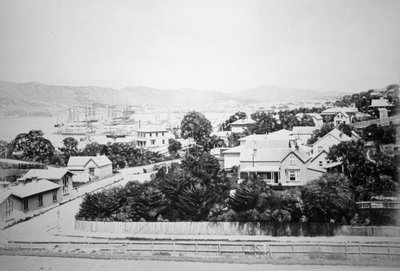 ويلينجتون ، نيوزيلندا ، 1875 بواسطة غير معروف