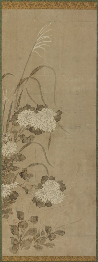 الأقحوان الأبيض والأعشاب ، فترة إيدو ، 1615-1868. بواسطة غير معروف