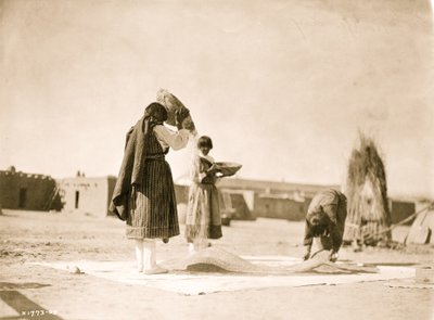 تذرية القمح - سان خوان 1905 (صورة) بواسطة غير معروف
