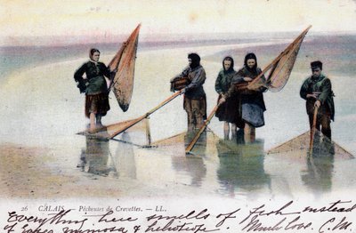 صيادو الربيان النساء ، كاليه ، 1905 بواسطة غير معروف