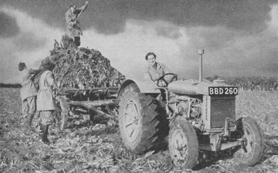 جيش الأرض النسائية يرفع محصولًا ، الحرب العالمية الثانية ، 1940 بواسطة غير معروف