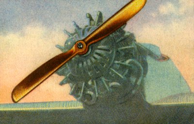 مروحة طائرة خشبية مصنوعة من شركة Schwarz Propeller-Werk ، 1932. بواسطة غير معروف