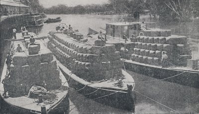 المراكب الصوفية على نهر موراي ، 1923. بواسطة غير معروف