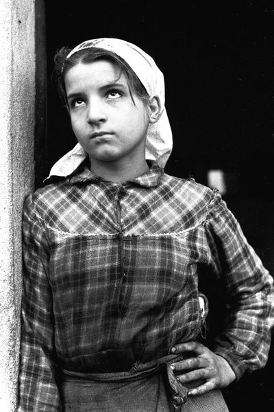 فتاة يوج تعمل في قطاف الزيتون في كالابريا ، إيطاليا ، حوالي 1955 (صورة بالأبيض والأسود) بواسطة غير معروف