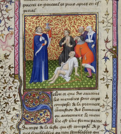Ms.251 f.54v طبيب مع مرضاه ، من Des Proprietez des Choses ، ج .1415 بواسطة غير معروف غير معروف