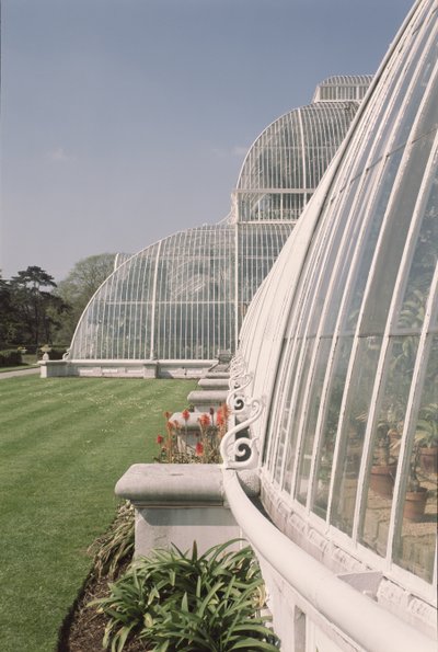 قسم من Palm House ، صممه Decimus Burton ، 1800-81 بواسطة غير معروف غير معروف