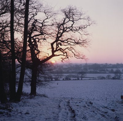 مشهد الشتاء في الثلج ، Hockley ، Essex بواسطة غير معروف غير معروف