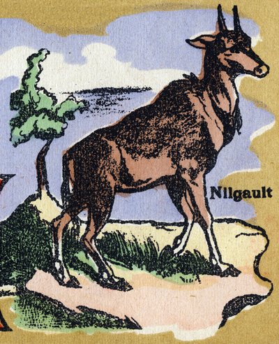 نيلجولت. الأبجدية المصورة. تم لم شمل الصور في جارفيل نانسي ، بداية القرن العشرين. الأبعاد: ٤٠ × ٢٩ سم. الطباعة الحجرية على خلفية بيستر بواسطة غير معروف