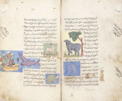 صفحة من المخطوطة الفارسية "اجا" ابن المخلوقات والغارة "ابن المجودات" بواسطة غير معروف