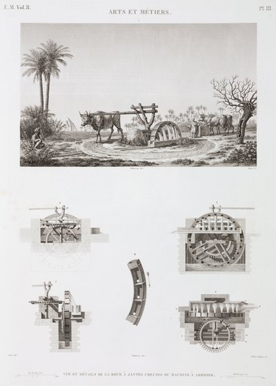 قوة الحيوان للري بالحيوان ، مصر عام 1798 بواسطة غير معروف