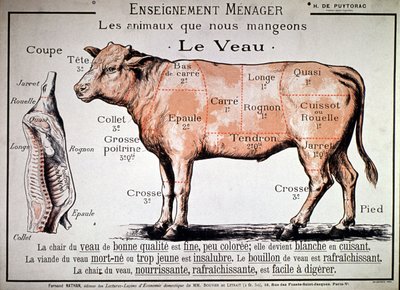 الحيوانات التي نأكلها: العجل، ج. 1910 (مطبوع) بواسطة فنان غير معروف