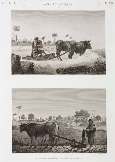 الزراعة الصالحة للزراعة ، الحرث ، آلة الدرس والمحراث ، مصر ، ج 1798 بواسطة غير معروف