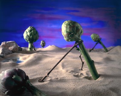 Art-ichoke (دالي) 1996 (صورة) بواسطة فنان غير معروف