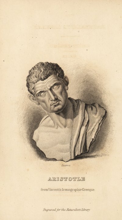 Artistotle ، الفيلسوف اليوناني وعالم الطبيعة ، 384-322BC بواسطة غير معروف