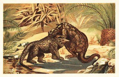 معركة بين Megalosaurus Bucklandii و Iguanodon Bernissar1908 (طباعة حجرية) بواسطة فنان غير معروف