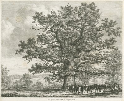Blithfield - Squitch-bank Oak: النقش ، 1824 بواسطة غير معروف