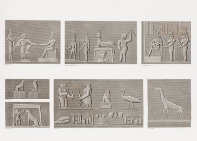 الكتاب: وصف مصر بواسطة غير معروف