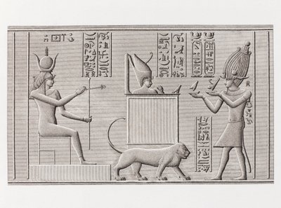 الكتاب: وصف مصر بواسطة غير معروف