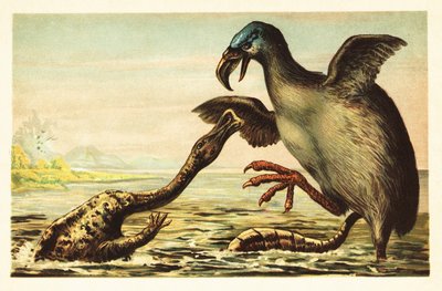 Brontornis تقاتل Hadrosaurus. 1908 (طباعة حجرية) بواسطة فنان غير معروف