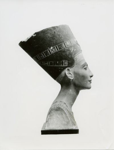 Bust of Queen Nefertiti, side view, copy of bust in the Aegyptisches Museum, SMPK, Berlin (painted limestone) (b/w photo) (see also 114018-20) بواسطة غير معروف