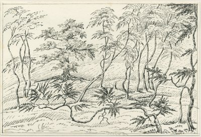 كانوك تشيس: رسم بالقلم الرصاص وقلم رصاص ، بدون تاريخ [؟ القرن التاسع عشر] بواسطة غير معروف