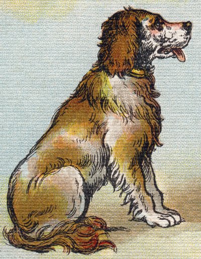 كلب. نقش في "Alphabet de ma petite fille". برناردين-بيشيت وفلس ، بائعون وناشرون ، باريس ، حوالي عام 1895. ألبوم غير قابل للكسر على قماش. Bibliotheque des Bebes. 12 صفحة. ألبوم يحتوي على طريقة قراءة ومختصر توضيحي. قاتمة: 29.5 بواسطة غير معروف