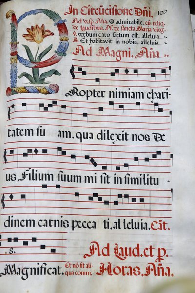 يتم تشغيل Domus Galilaeae أو House of Galilee من قبل المنظمة الكاثوليكية Neocatechumenal Way ، Antiphonary ، ختان يسوع ، جبل التطويبات ، إسرائيل بواسطة غير معروف