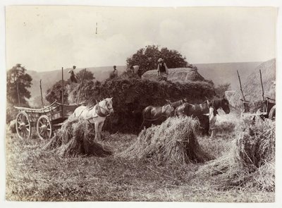 مشاهد الزراعة والحصاد والتخزين ، ما قبل عام 1900 الحصاد ، عام 1890 بواسطة غير معروف