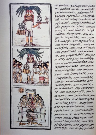 مهرجان توكسكاتل وضحيته ، الكتاب الثاني من المخطوطة الفلورنسية ، نسخة ثنائية اللغة باللغتين الإسبانية والناواتل ، التاريخ العام لأشياء إسبانيا الجديدة (هيستوريا جنرال دي لاس كوساس دي نويفا إسبانا) ، حضارة الأزتك بواسطة فنان غير معروف