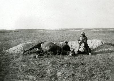 الحرب العالمية الأولى 14-18 (1914-1918): ثلاثة جنود فرنسيين يدفنون حصاناً ميتاً - صورة فوتوغرافية على لوح زجاجي - بواسطة فنان غير معروف