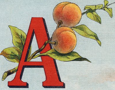 حرف أ: المشمش. نقش في "Alphabet de ma petite fille". برناردين-بيشيت وفلس ، بائعون وناشرون ، باريس ، حوالي عام 1895. ألبوم غير قابل للكسر على قماش. Bibliotheque des Bebes. 12 صفحة. ألبوم يحتوي على طريقة قراءة وتوضيحي سابق بواسطة غير معروف