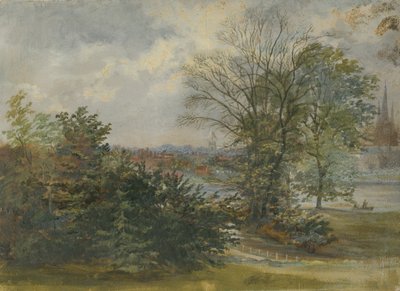 Lichfield - عرض بعيد: رسم زيتي ، بدون تاريخ [؟ 19th cent] بواسطة غير معروف