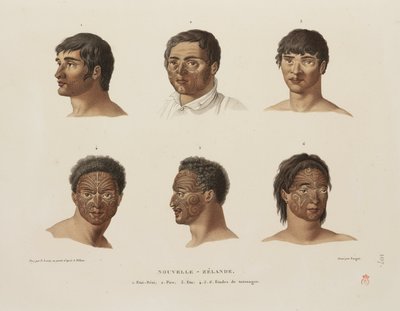 Maori tattoos بواسطة غير معروف