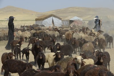 خيام بدوية بين تمار وأشخانه ، إيران 2022 (تصوير) بواسطة فنان غير معروف