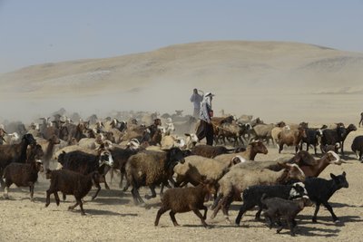 خيام بدوية بين تمار وأشخانه ، إيران 2022 (تصوير) بواسطة فنان غير معروف