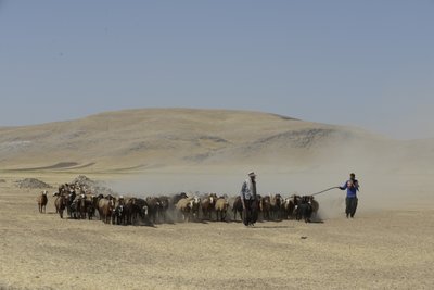 خيام بدوية بين تمار وأشخانه ، إيران 2022 (تصوير) بواسطة فنان غير معروف