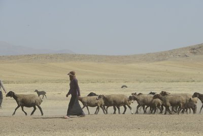 خيام بدوية بين تمار وأشخانه ، إيران 2022 (تصوير) بواسطة فنان غير معروف