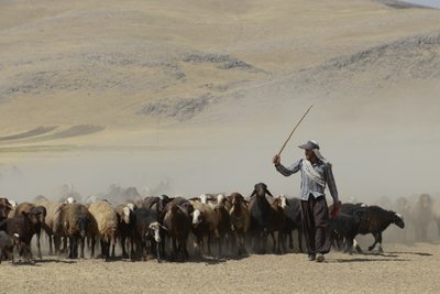 خيام بدوية بين تمار وأشخانه ، إيران 2022 (تصوير) بواسطة فنان غير معروف