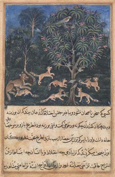 صفحة من حكايات ببغاء (Tuti-nama): الليلة الخامسة: الأم الببغاء تحذر صغارها من خطورة اللعب مع الثعالب ، ج. 1560 (ألوان مائية غير شفافة وذهبية وحبر على ورق) بواسطة غير معروف