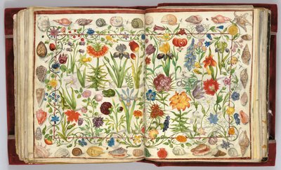 صفحات من ألبوم أميكوروم فيليب هاينهوفر ، 1596-1633 بواسطة غير معروف