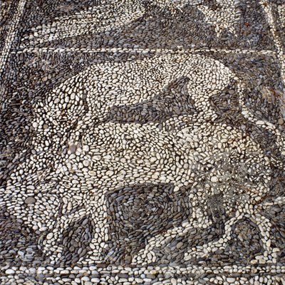 النمر يهاجم ثورًا (فسيفساء حجرية) بواسطة غير معروف
