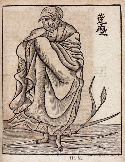 Portrait de Bodhidharma (v بواسطة غير معروف