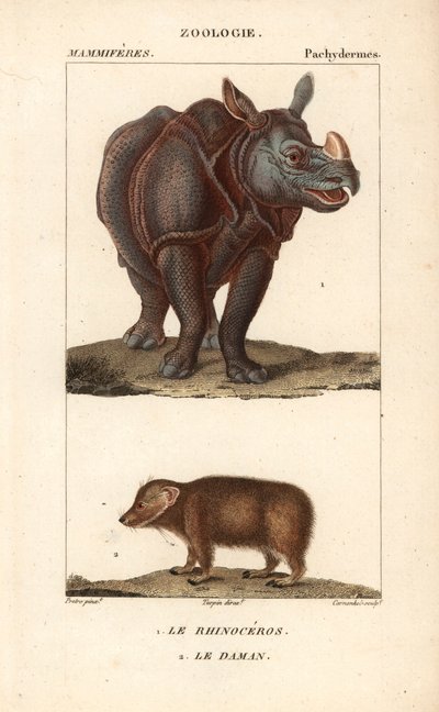 وحيد القرن والدامان أو كلايد - أو فورت بقلم جان غابرييل بريتري (1780-1845)، نقش بواسطة كارنونكل، لقاموس العلوم الطبيعية: الثدييات لفريدريك كوفييه، حرره بيير جان فرانسوا توربان (1775-1840)، ونشره ف. ج. ليفراو، في باريس بواسطة فنان غير معروف