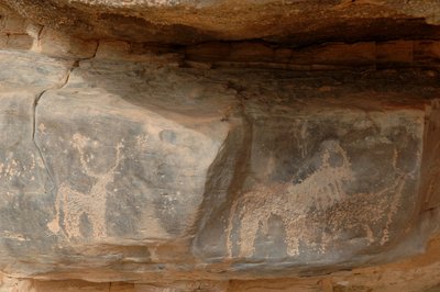 فن صخري ، عصور ما قبل التاريخ: نقش لثلاث قطعان في جبل العوينات ، السودان (كركور الطلح أو كركور الطلح). الفترة من 8000 إلى 3000 سنة قبل الميلاد. التصوير بواسطة غير معروف