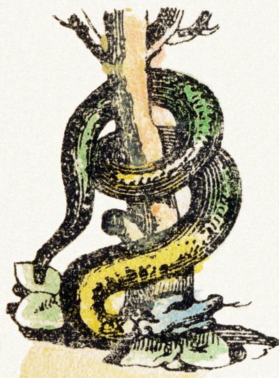 S - الثعبان - الأبجدية الترفيهية للأطفال c1890 (طباعة حجرية) بواسطة غير معروف