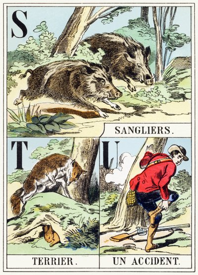 STU: Sanglier، Terrier، Un accident - The Hunting Alphabet، c.1890 (نقش) بواسطة غير معروف