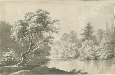 Shenstone - حمام سباحة بالقرب من Little Aston: رسم غسيل بني داكن ، بدون تاريخ [19th cent] بواسطة غير معروف