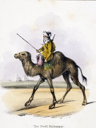 The Swift Messenger 