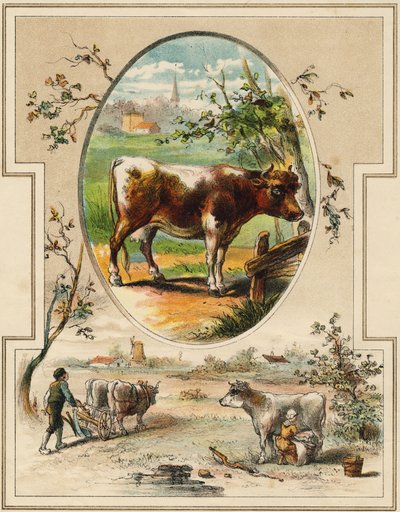 البقرة. نقش في "Mon Premier Grand Alphabet". إصدار برناردين-بيشيه ، باريس ، حوالي عام 1890. رسوم إيضاحية بقلم أ. دي ليلولس. لا توجد صفحة ، 46 صفحة. قاتمة: 31x22 سم. بواسطة غير معروف